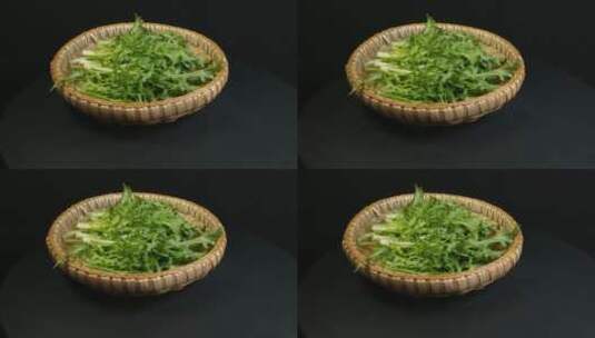 苦菊菜蔬菜食物食材高清在线视频素材下载