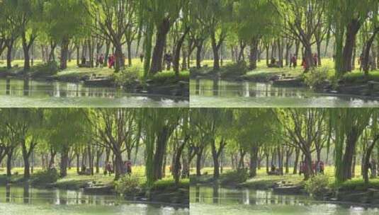嘉兴南湖景区唯美生态环境高清在线视频素材下载