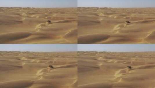 原创 新疆塔克拉玛干沙漠航拍风光高清在线视频素材下载