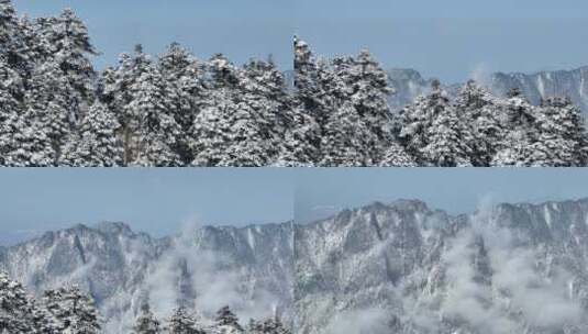 航拍湖北神农架原始森林群山冬季雪景雪松高清在线视频素材下载