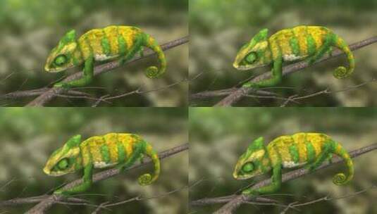 三维动物 高冠变色龙 蜥蜴 宠物 动画 动物高清在线视频素材下载