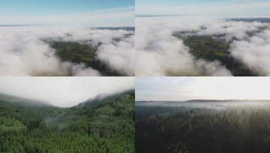 森林鸟瞰森林绿肺迷雾雾气高清在线视频素材下载