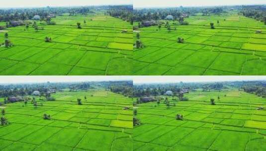 高空拍摄平原的农田高清在线视频素材下载