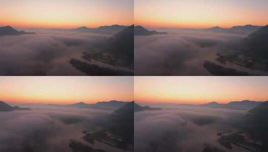 安徽皖南阳光云雾下的落羽红杉林高清在线视频素材下载