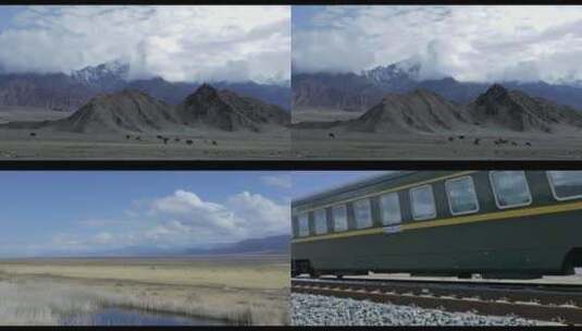 甘肃肃北草原牛羊群火车驶过素材高清在线视频素材下载