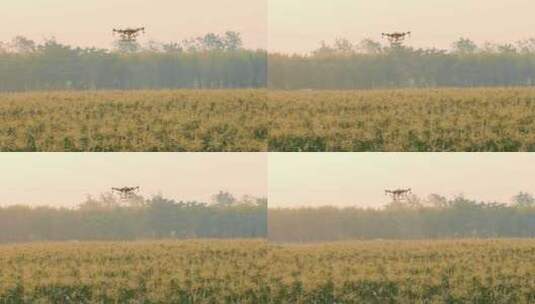 空中无人机拍摄，绿色黄色乡村草场高清在线视频素材下载