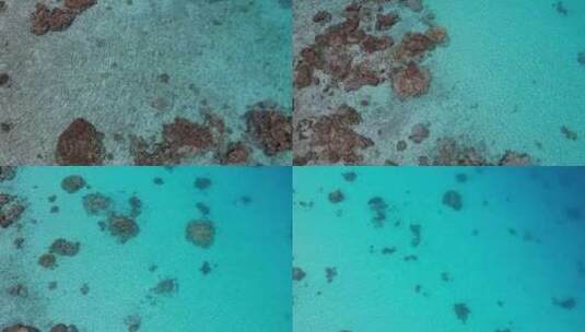 法卡拉瓦环礁泻湖浅水、清澈的水和珊瑚礁的空中无人驾驶飞机拍摄高清在线视频素材下载