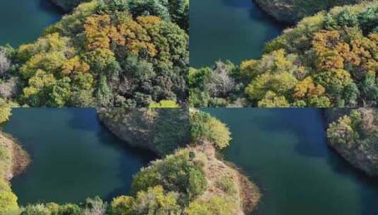 航拍神居山山水树林林谭秋色河湖绿色高清在线视频素材下载