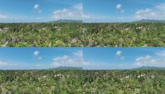 印度尼西亚巴厘岛佩尼达岛热带雨林自然风光高清在线视频素材下载