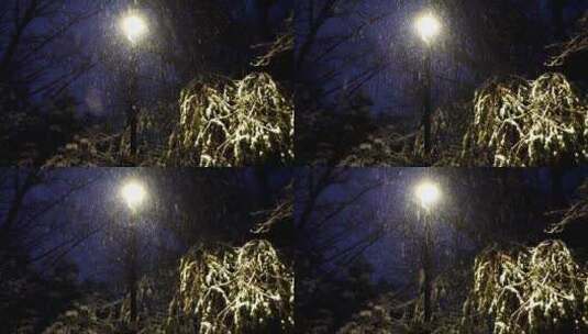 冬天雪天夜晚路灯下大雪纷飞雪花飘舞高清在线视频素材下载