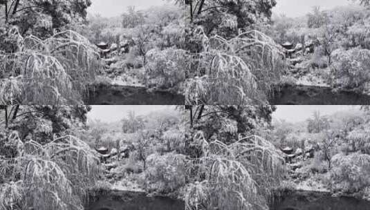 长沙雪景岳麓山爱晚亭下雪冬天雪景高清在线视频素材下载