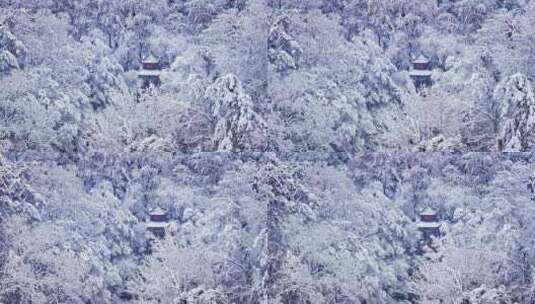 4k长沙岳麓山爱晚亭雪景航拍高清在线视频素材下载