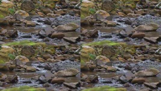 溪流水流流水青苔石滩高清在线视频素材下载