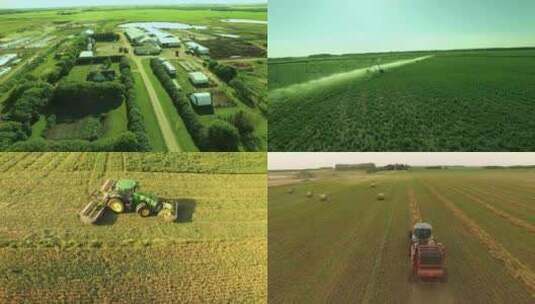 4K收割机农田小麦田稻田灌溉农业高清在线视频素材下载