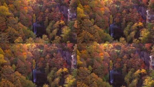 4k风景秋天唯美金黄色森林中有条瀑布高清在线视频素材下载