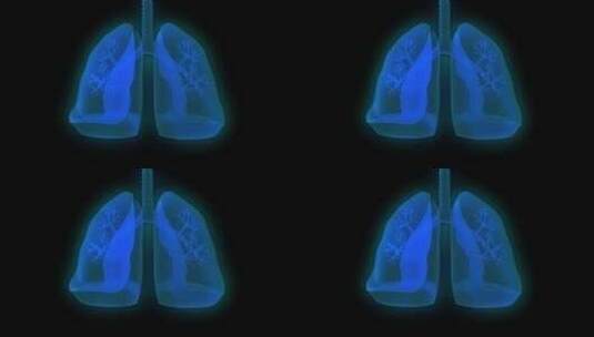 人体肺部吸入病毒动画带通道高清在线视频素材下载
