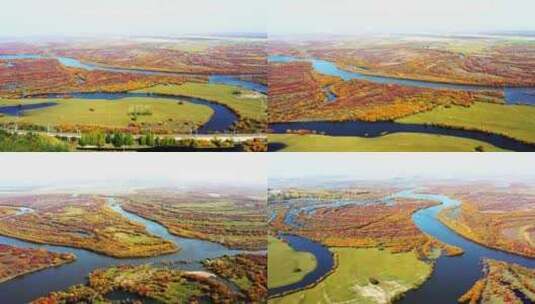 湿地秋季航拍高清在线视频素材下载
