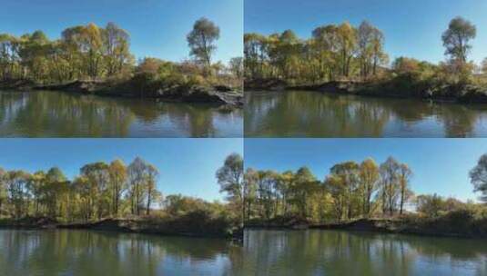 大兴安岭林区绰尔河湿地秋季风光高清在线视频素材下载