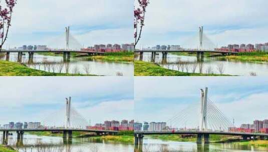 周口大庆桥标志性建筑高清在线视频素材下载