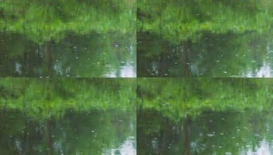 雨水落在绿色树影的池塘里泛起波纹和涟漪高清在线视频素材下载