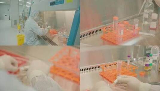 实验员培养免疫细胞高清在线视频素材下载