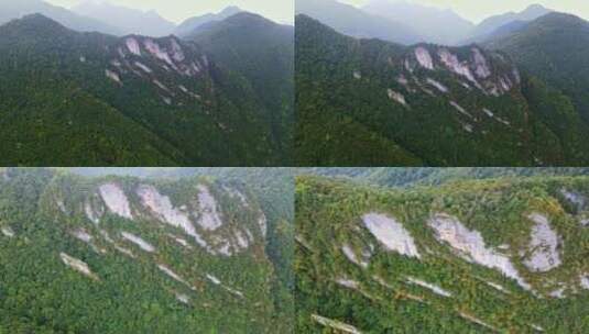 重庆五里坡国家级自然保护区葱坪全景高清在线视频素材下载