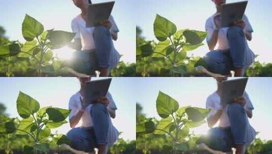 在农田种植植物的科学方法女性植物学家与平高清在线视频素材下载