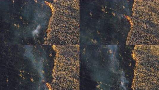 鸟瞰灭火高清在线视频素材下载