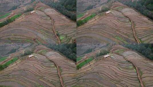 俯瞰山间梯田与步道高清在线视频素材下载