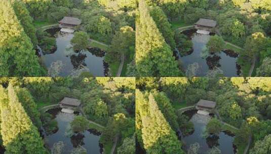 航拍杭州植物园红亭子高清在线视频素材下载