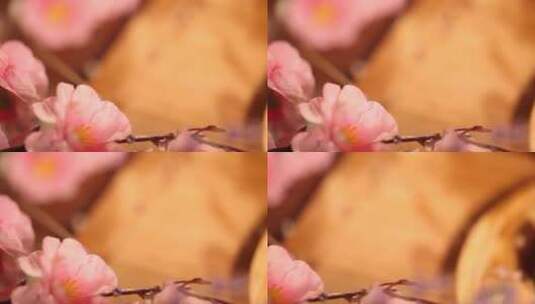 泡发香菇花菇 (4)高清在线视频素材下载