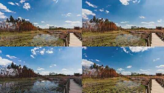 东大河湿地公园风光延时高清在线视频素材下载