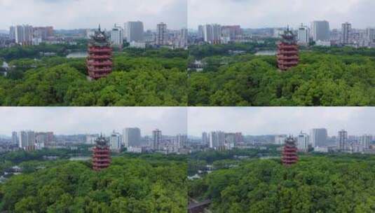 株洲东湖公园高清在线视频素材下载