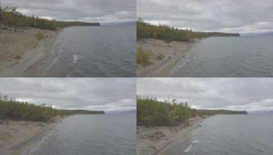 俄罗斯西伯利亚贝加尔湖树木高清在线视频素材下载