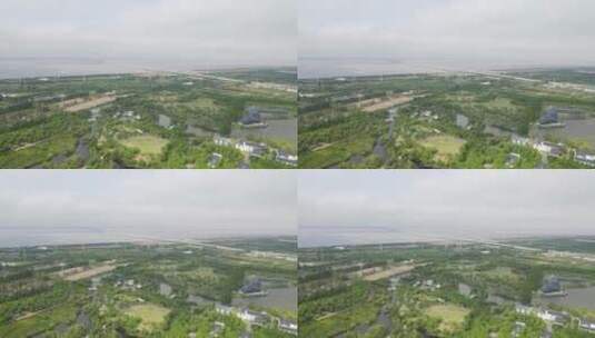 上海崇明区长兴岛崇明岛全景4K航拍高清在线视频素材下载