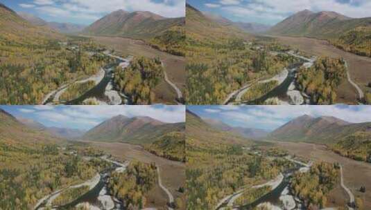 秋天的新疆阿勒泰禾木河流田园乡村风光高清在线视频素材下载