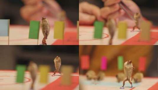 毛猴制作 非遗传统艺术项目 手工 北京高清在线视频素材下载