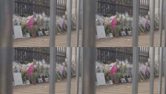 白金汉宫外献花的特写镜头高清在线视频素材下载