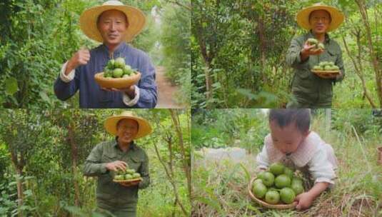 青皮嫩核桃高清在线视频素材下载