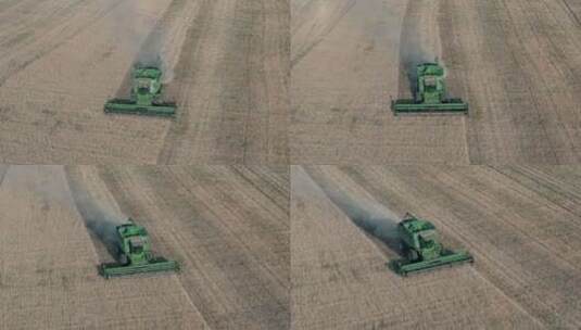 小麦收割高清在线视频素材下载