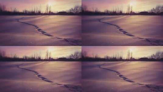 冬天 日出日落 地面积雪 树林 美景特写高清在线视频素材下载
