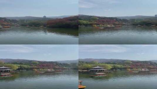 济南红叶谷景区，红叶满山迎来最佳观赏高清在线视频素材下载