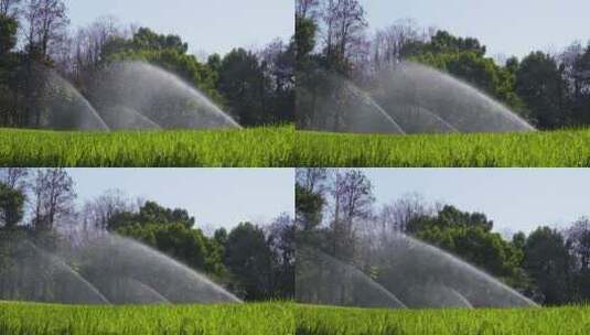 城市草坪洒水喷水逆光升格视频高清在线视频素材下载