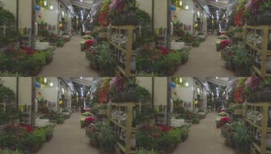 花卉市场高清在线视频素材下载