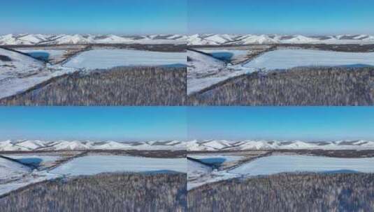 白雪覆盖的远山原野白桦林高清在线视频素材下载