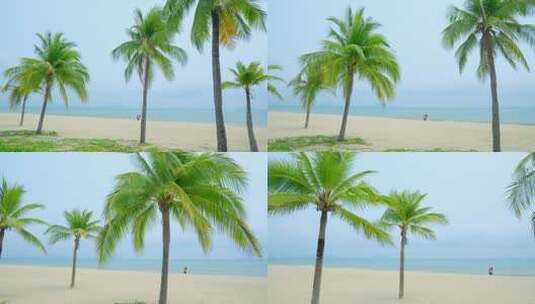 海南三亚椰梦长廊 椰树 椰子树 沙滩高清在线视频素材下载