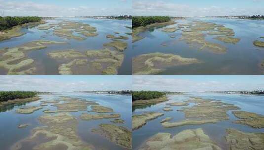 湿地生态湿地公园航拍湿地高清在线视频素材下载