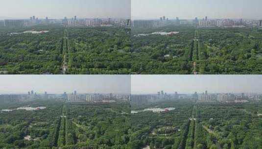 河南洛阳隋唐城遗址植物园4A景区航拍高清在线视频素材下载