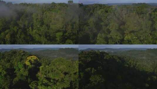 森林中覆盖山脊鸟瞰图高清在线视频素材下载