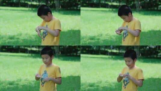 小男孩在树林里捉虫子 玩蚱蜢 蝗虫高清在线视频素材下载